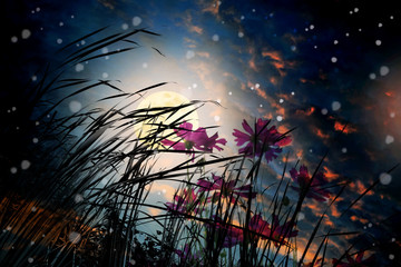 a lonely night with full moon