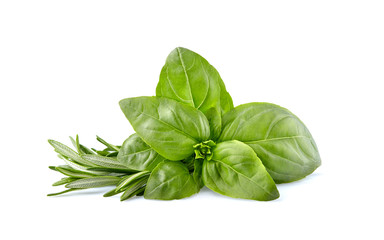 Fresh Basil leaves with rosemary in closeup on white background