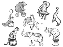 Retro Circus Animals Performance Set R Sketch Vector Illustration. Old Hand Drawn Engraving Imitation. Human And Animals Vintage Drawings
