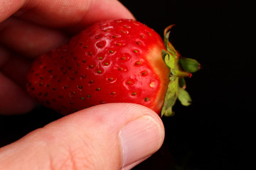 Poster - Strawberry in a hand on a dark background