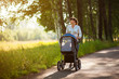 A young mother and a child in a stroller are walking in the park. Walking with the family in nature, in the fresh air