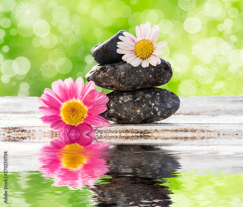 flores y piedras reflejando en el agua