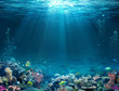 Leinwandbild Motiv Underwater Scene - Tropical Seabed With Reef And Sunshine