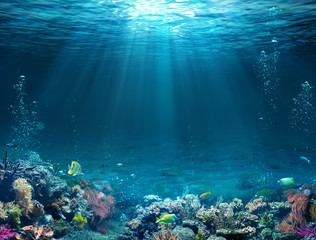 Wall Mural - Underwater Scene - Tropical Seabed With Reef And Sunshine