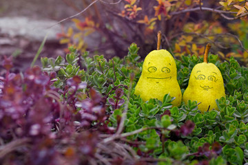 two yellow pears with faces in the garden. smiling pears