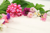 Fototapeta Storczyk - Blüten auf weißem Hintergrund