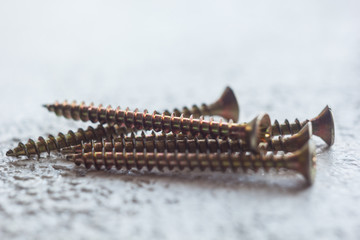 metal screws on the tree close-up on a blurred background. bolts close-up on the table. copy space