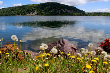 Wall Mural - beautiful wisconsin ice age nature background. scenic landscape with blooming dandelions in front of