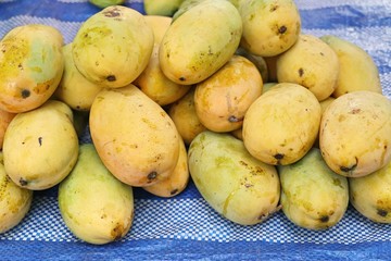 Poster - mango fruit at the street food