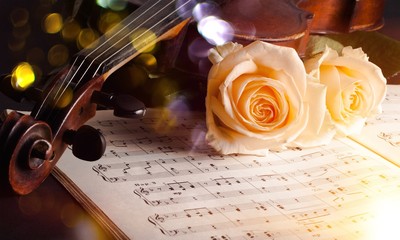 Wall Mural - Violin with sheet music and white roses on black background