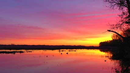 Wall Mural - Two geese float in wetland's tranquil waters, reflecting colorful twilight sky.