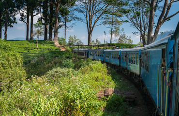 Wall Mural - ella to kandy sri lanka famous train