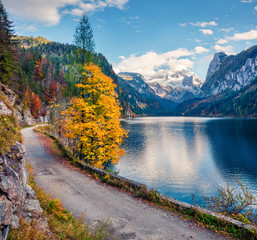  Majestic autumn scene of Vorderer ( Gosausee ) lake with Dachstein glacieron background. Fabulous morning view of Austrian Alps, Upper Austria, Europe. Traveling concept background.