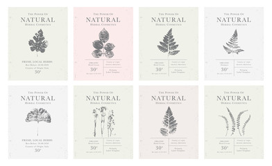 set of customizable vintage label of natural organic herbal products.