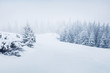 © Andrew Mayovskyy - Mountain valley after a huge blizzard. Splendid outdoor scenewith snow covered fir trees, Happy New Year celebration concept. Beauty of nature concept background.
