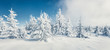 © Andrew Mayovskyy - Fantastic winter panorama of mountain forest with snow covered fir trees. Colorful outdoor scene, Happy New Year celebration concept. Beauty of nature concept background.