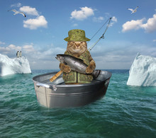 The Cat Fisherman In Uniform With A Fishing Rod Is Drifting In The Steel Wash Tub Among The Icebergs In The High Seas. He Holds A Big Salmon.