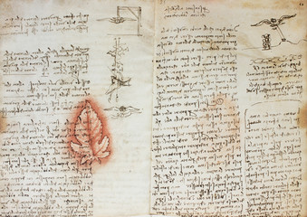 The red leaf and manuscripts in the vintage book Manuscripts of Leonardo da Vinci, Codex on the Flight of Birds by T. Sabachnikoff, Paris, 1893