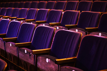 the auditorium with seats, chairs in the auditorium