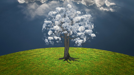 Wall Mural - Cloud tree