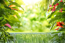 Tropical Palm Leaves,flower And Small Waterfall