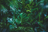 Fototapeta Łazienka - Tropical palm leaves