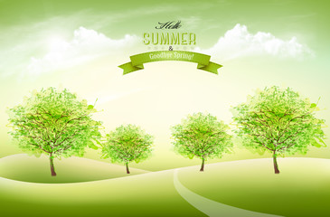 Fototapete - Beautiful summer nature background with a green trees and landscape. Vector.