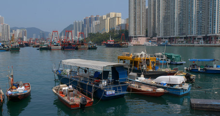 Sticker - Hong Kong fishing harbor port