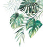 Watercolor tropical leaves poster. Hand painted exotic monstera and palm green branches composition on white background. Summer plants illustration