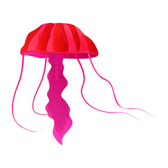 Vector watercolor jellyfish