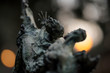© Danilo - statue of dancers at sunset with bokeh background