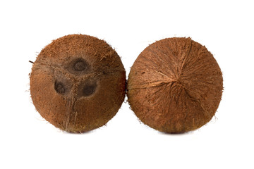 Coconuts on a white background. Two coconut close-up on a white background.