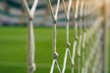white football net, green grass background