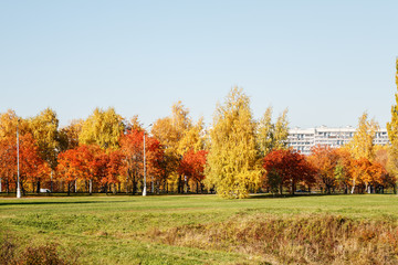 Autumn landscape in the city park with red and yellow trees in a bright sunny day