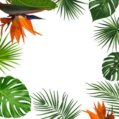 Wall Mural - Vector tropical jungle frame with palm trees, flowers and leaves on white background