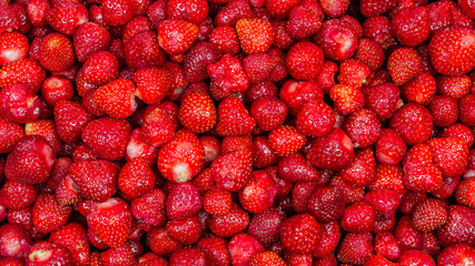 just fresh red strawberries without green leaves