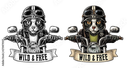 Cat driving a motorcycle rides. Vector vintage engraving Fototapeta