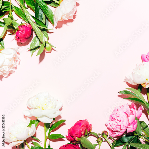 Creative spring flower background on pink color in hard light. Trendy minimal...