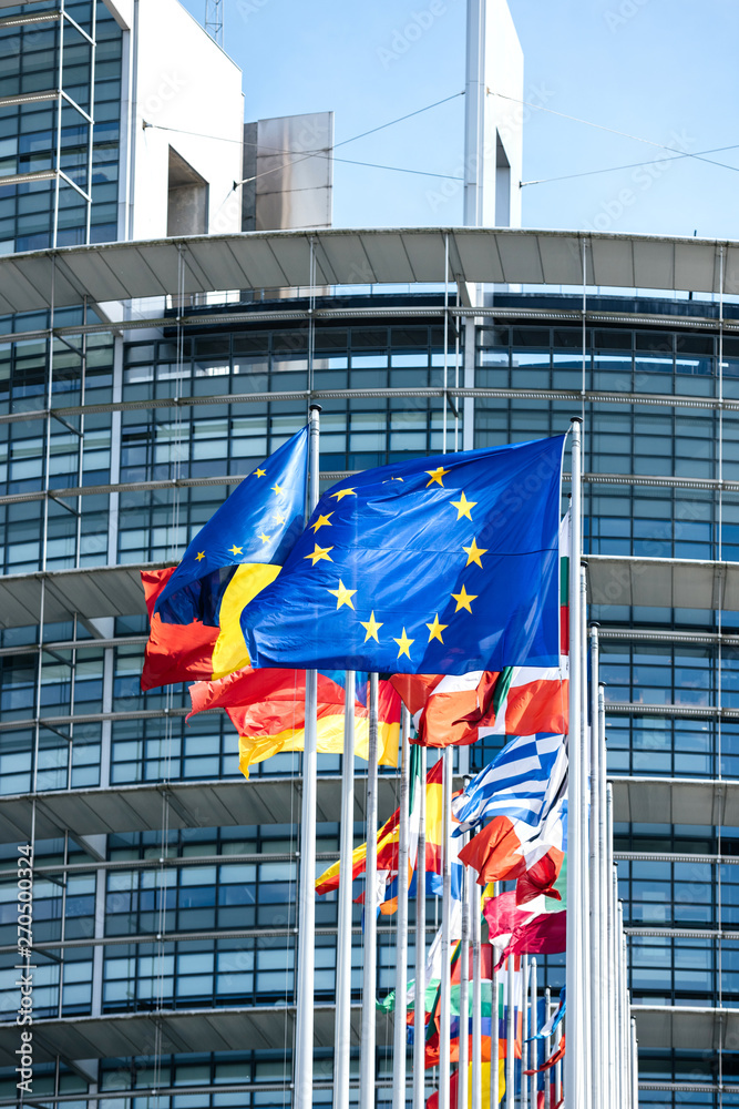 Obraz na płótnie Vertical image flags of all member states of the European Union waving in calm wind in front of the Parliament headquarter on the day of 2019 European Parliament election w salonie