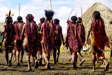 Dani People During Tribe Festival In Wamena-baliem Valley-papuasia-indonesia