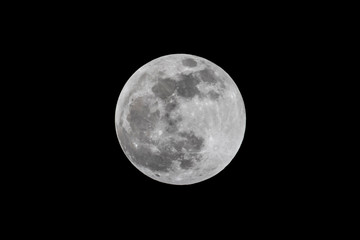 moon shot - the full moon is captured against a night sky.