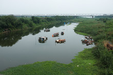 Floating Houses On The Red River At Hanoi