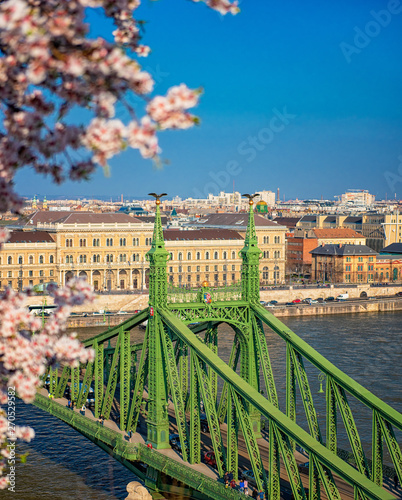 Beautiful Liberty Bridge with almond blossom in Budapest, Hungary