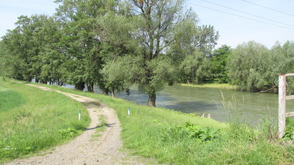 country road in a field and trees along the river