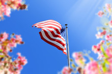 Close Up Waving American Flag And Flowers Over Blue Clear Sky