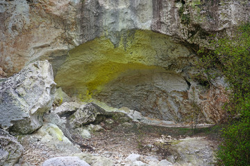 Wall Mural - Geothermal craters in the forest in the Waiotapu area of the Taupo Volcanic Zone in New Zealand