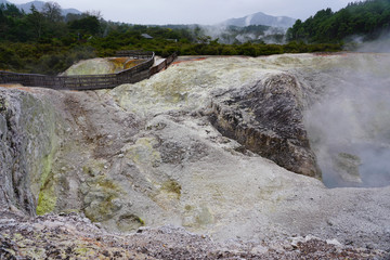 Wall Mural - Geothermal craters in the forest in the Waiotapu area of the Taupo Volcanic Zone in New Zealand