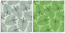 Vector Set Of A Seamless Pattern With Sprigs Of Jungles Leaves. Hand-drawn On Sheet At The Graphic Style. Lines, Compound Path. Green Color Shades. Elephant Ears, Alocasia, Colocasia, Xanthosoma Leaf.