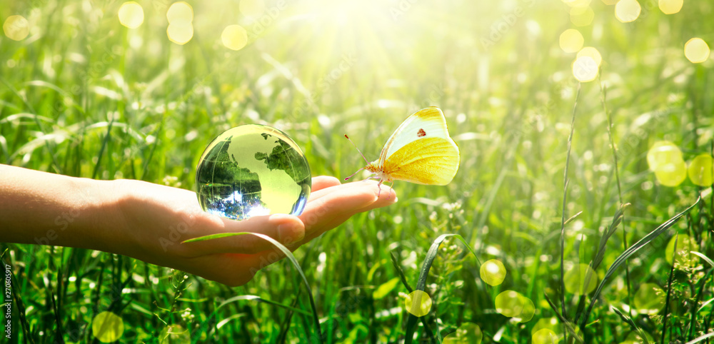 Earth glass globe and butterfly in human hand on green grass background. Saving environment concept. - obrazy, fototapety, plakaty 
