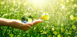 Earth glass globe and butterfly in human hand on green grass background. Saving environment concept.